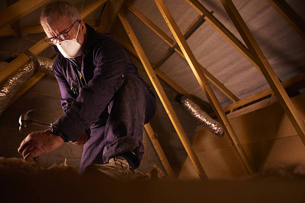 Best Geographic-Specific Insulation Services in Jurupa Valley, CA