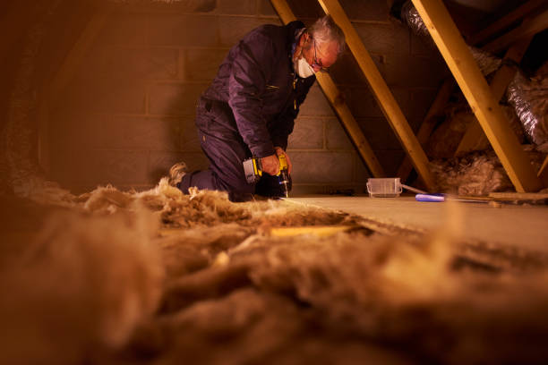Best Eco-Friendly Insulation in Jurupa Valley, CA